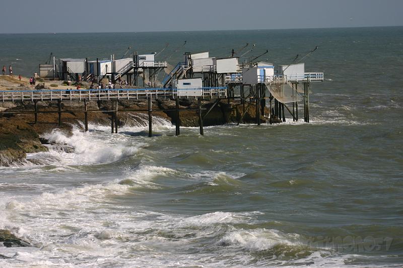 15-08-2008 564.jpg